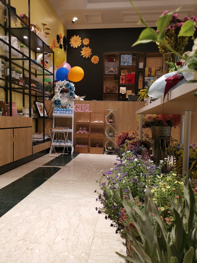 Babyshop - Hay Aldoob - Sharjah