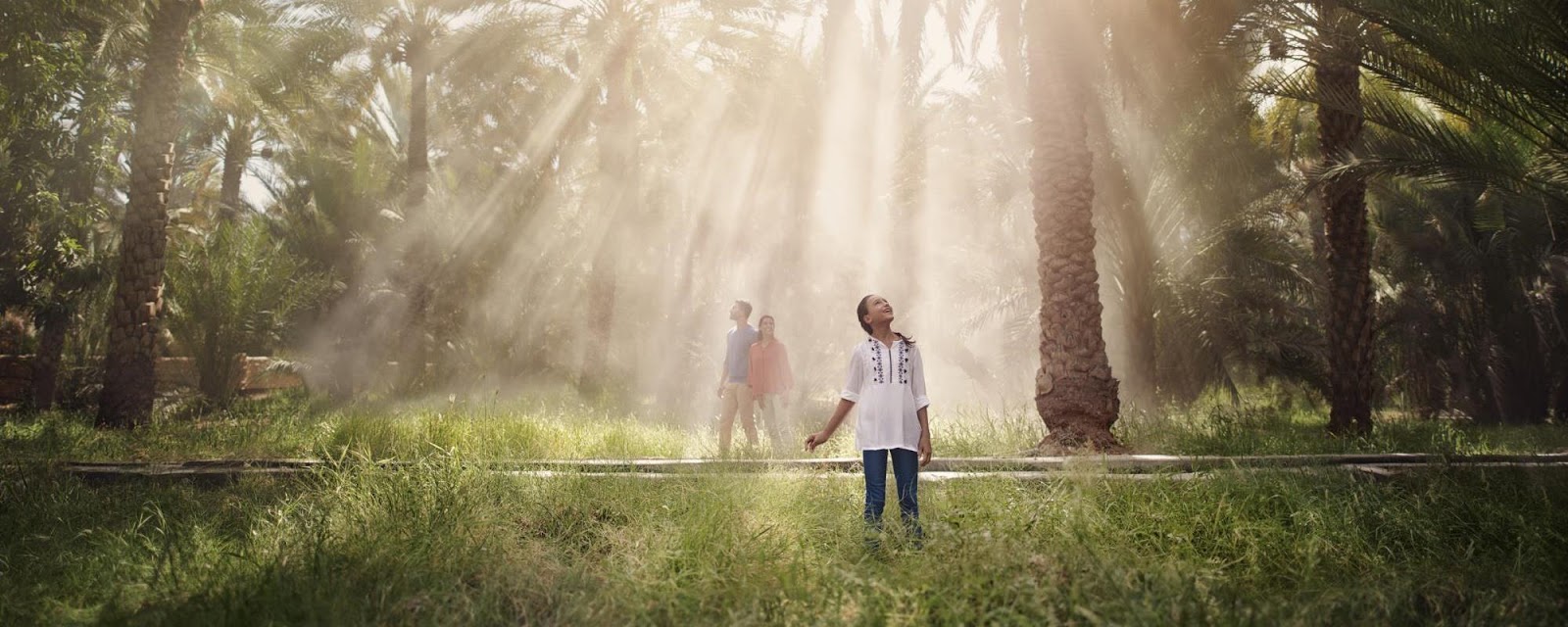Al Ain Oasis - Central District - Abu Dhabi