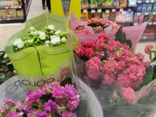 Geant Express - Business Bay - Dubai