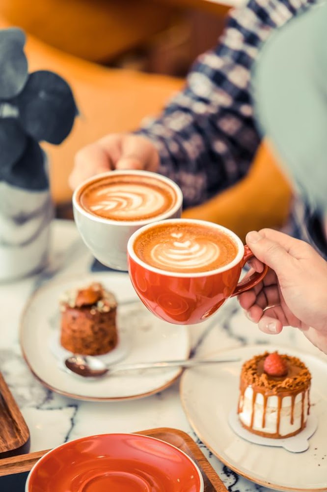 KNOT COFFEE - Zone 1 - Abu Dhabi