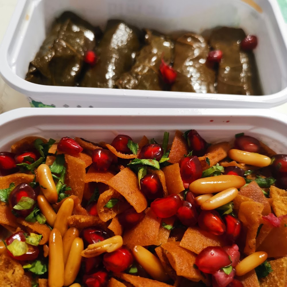 Appetizers Restaurant مطعم ابيتايزرز - Zone 1 - E20-02 - Abu Dhabi