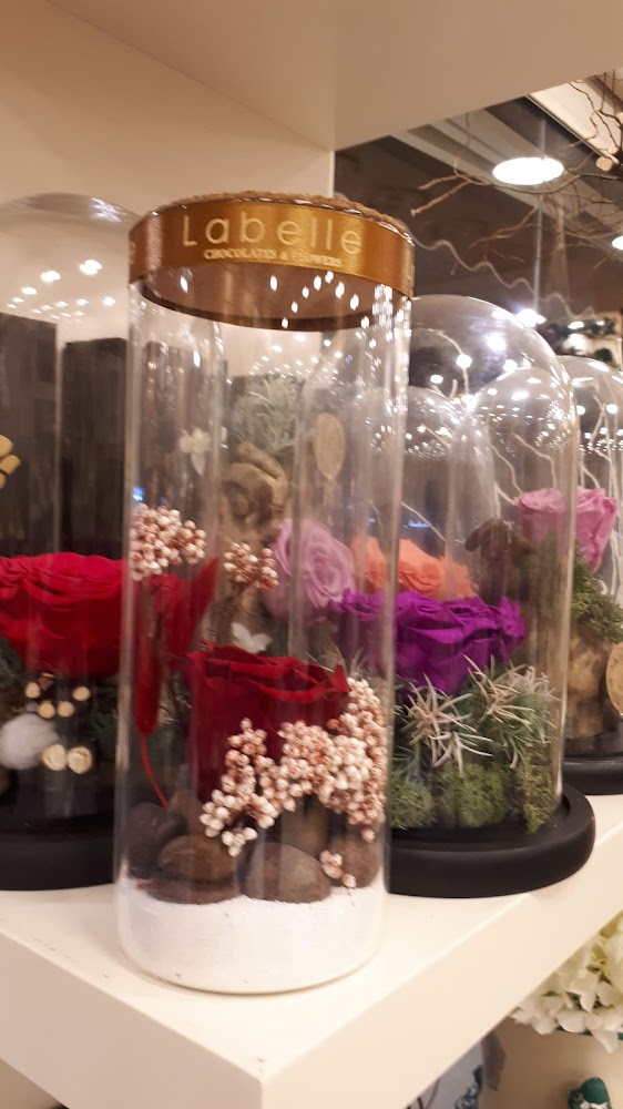 Labelle chocolates & flowers Umm Al Quwain - Al Salmah - Al Salamah 3 - Umm Al Quawain