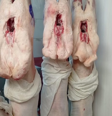 M F K MEAT TRADING -  - +971 56 903 4163