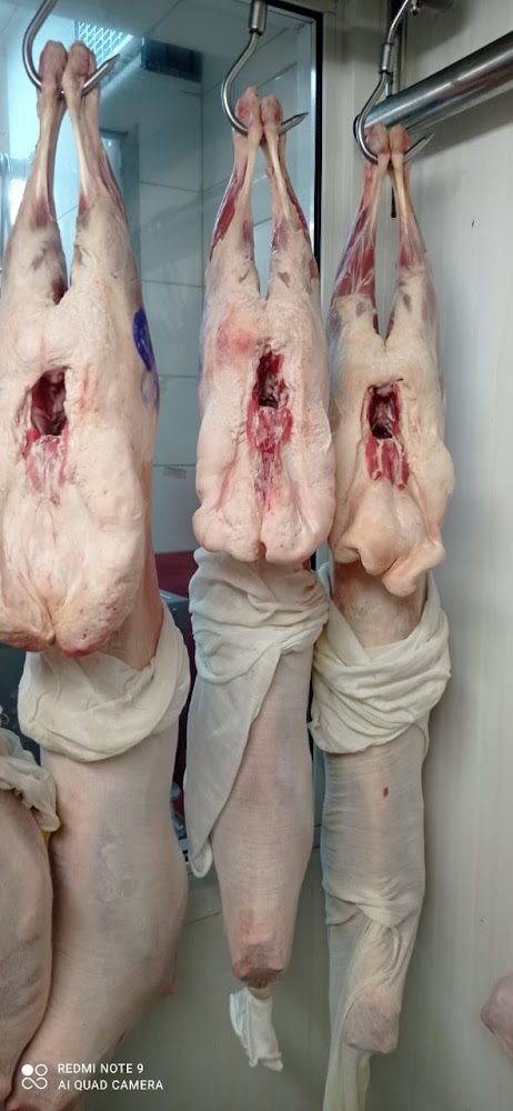 M F K MEAT TRADING - Zone 1 - E19 - Abu Dhabi