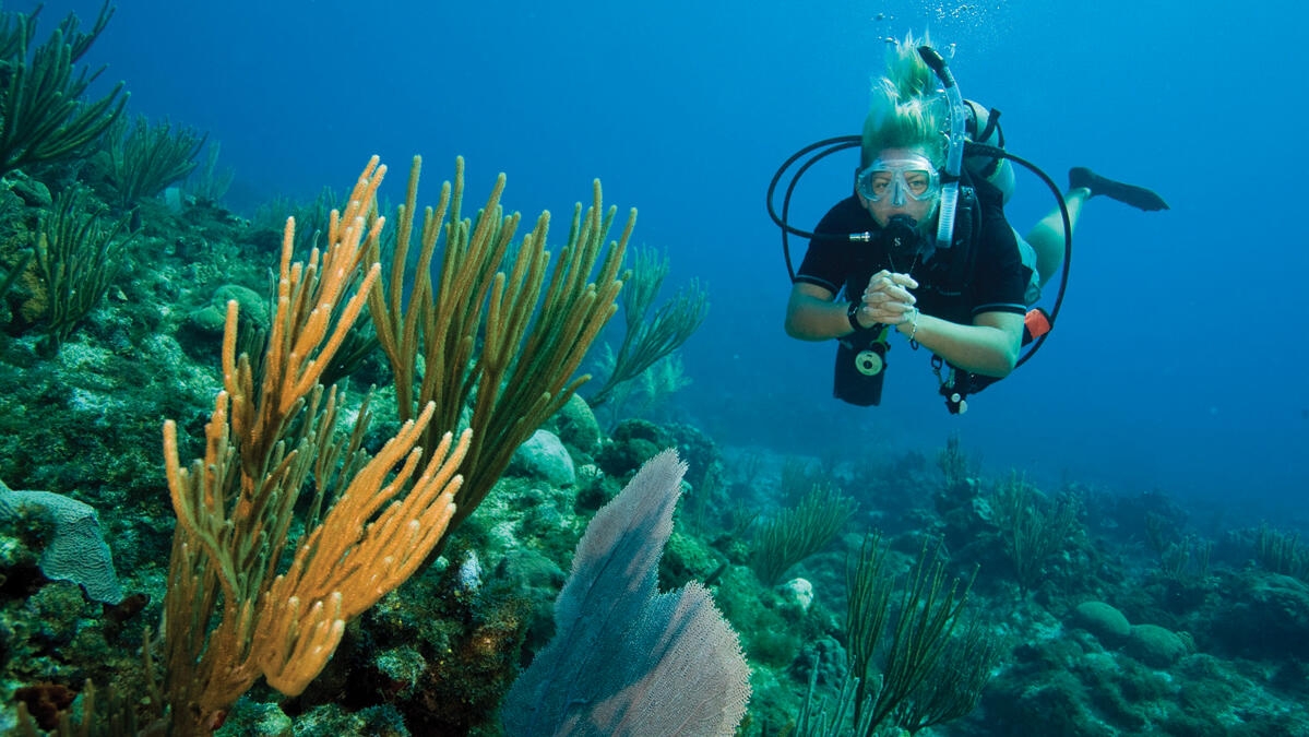 Nemo Diving Center Fujairah - Suwayfah - Fujairah