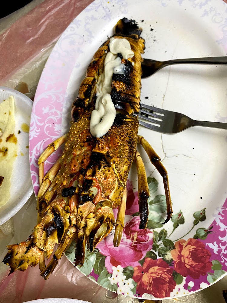 Wadi Al Neel Restaurant - Al Riqqah - Al Reqqah - Umm Al Quawain